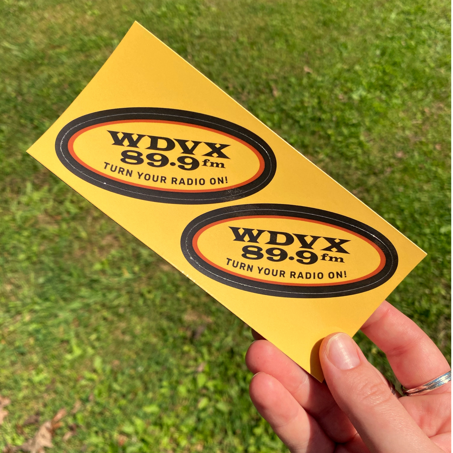 WDVX Logo Magnets